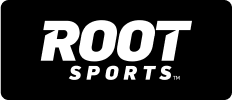 sponsor image