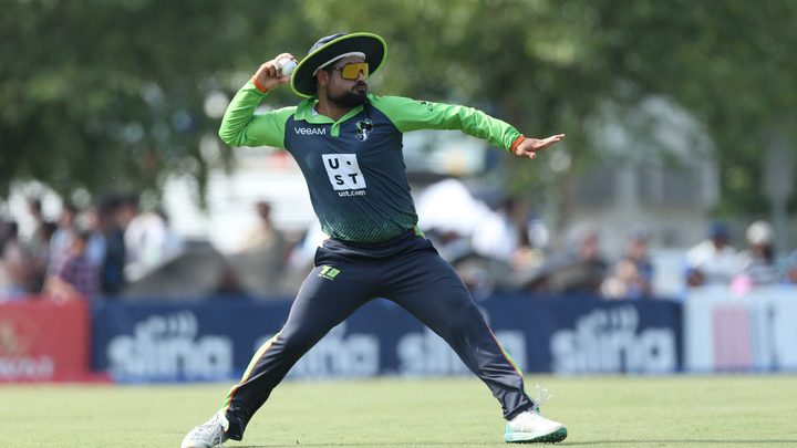 Best of our Domestic Stars