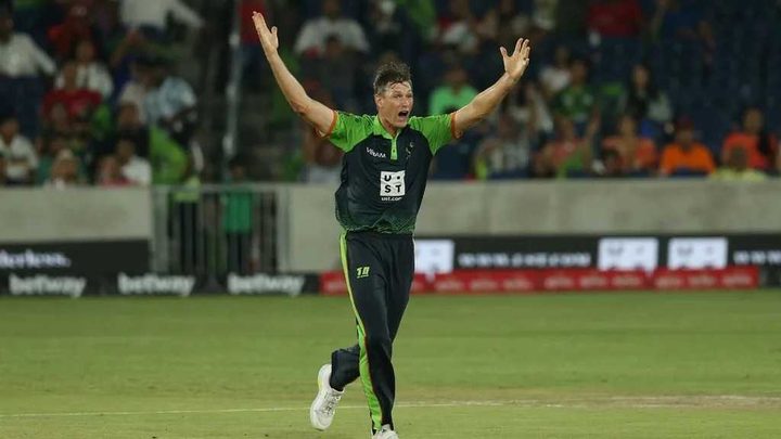 Best of our Domestic Stars