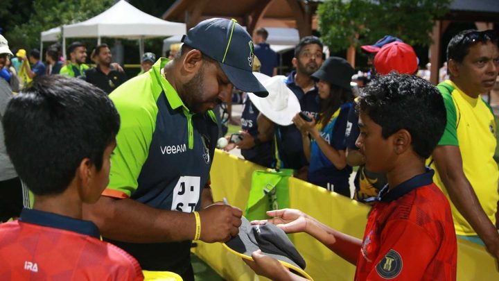 Best of our Domestic Stars