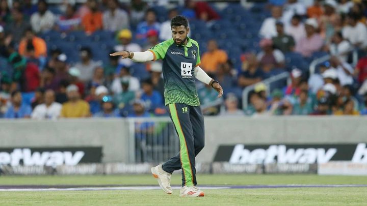 Best of our Domestic Stars